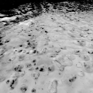 footprints in melting snow